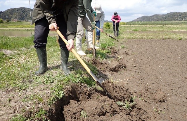 ホソでくろ切り