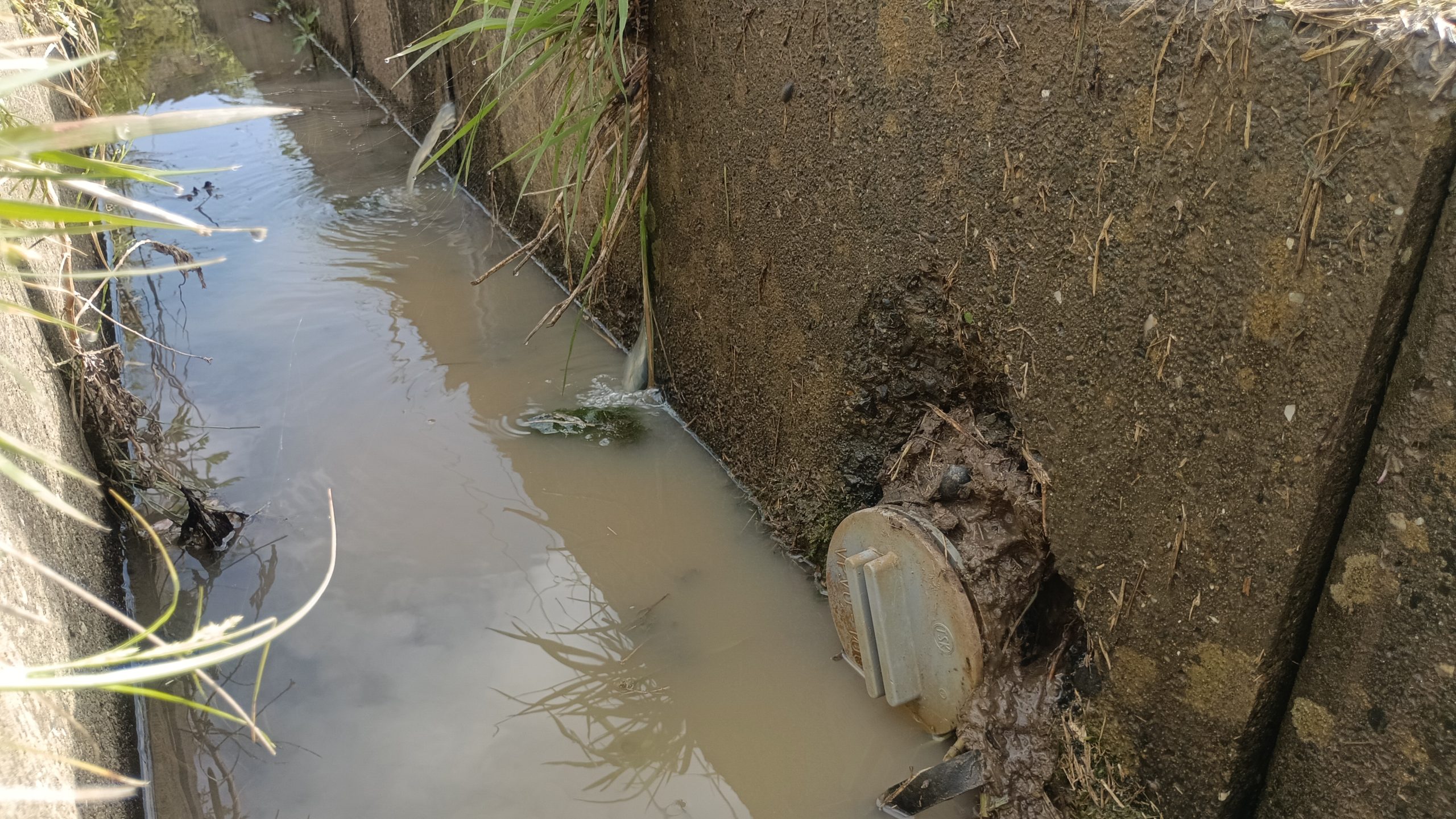 暗渠周りから水が駄々洩れ