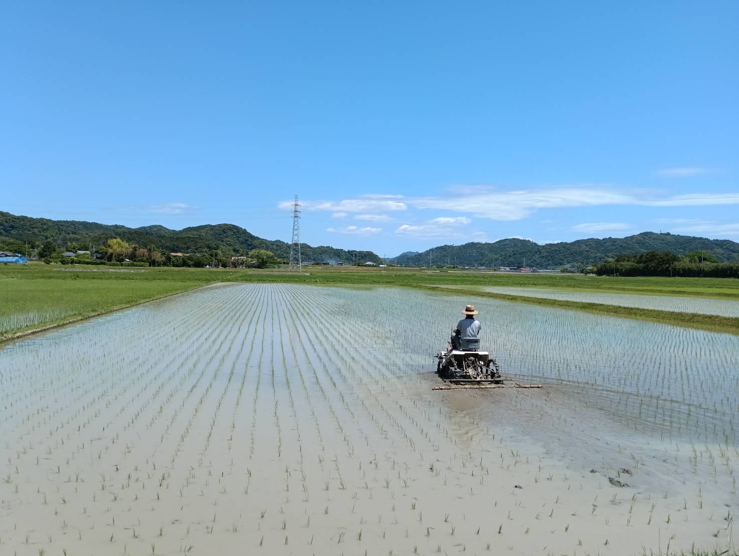 下堀原チェーン除草ナウ