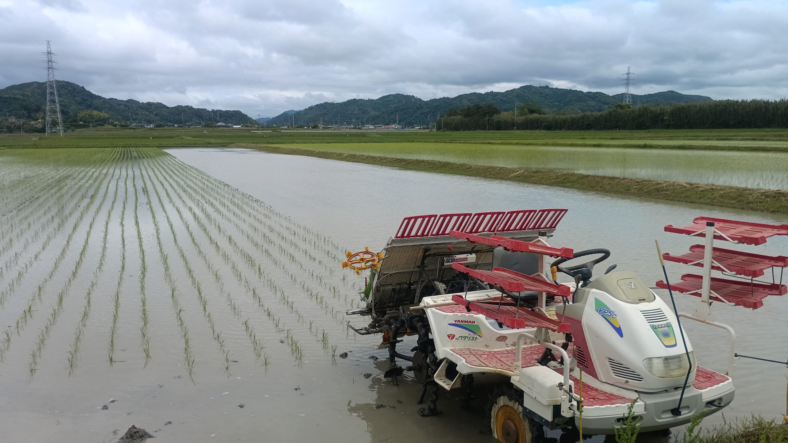 下堀原の田んぼ、田植え一応終了